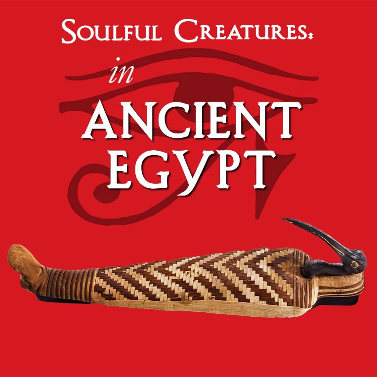 Soulful Creatures: Animal Mummies In Ancient Egypt