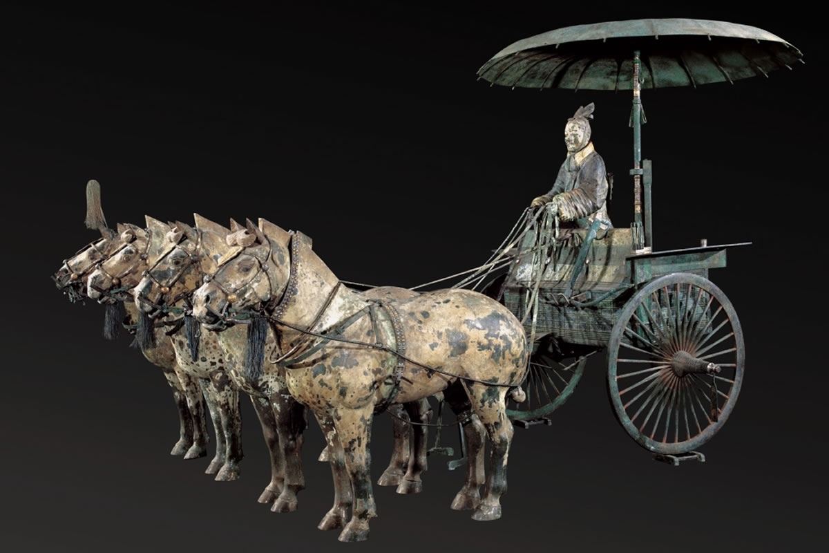 Members' Opening Night: World of the Terracotta Warriors