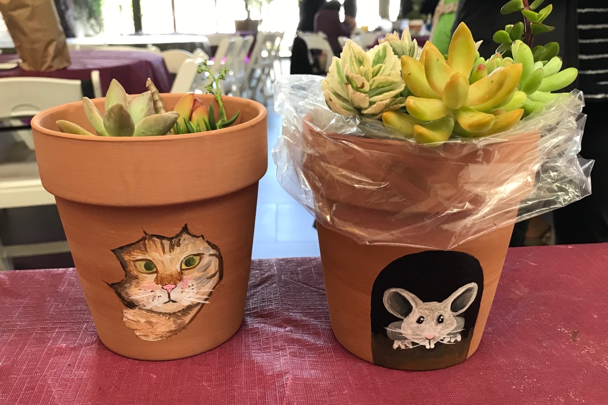 Anne's Treasures | Painted Terracotta Pots and Succulents and Tour of Terracotta Warriors
